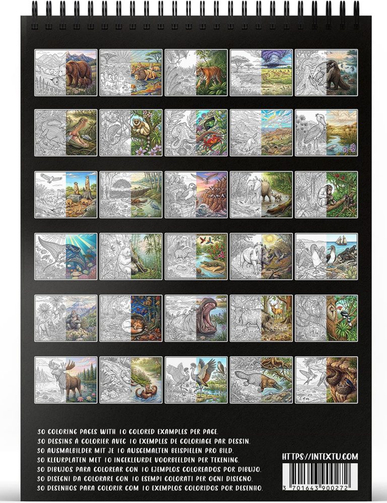 Kleurboek voor volwassenen met 30 originele tekeningen, ideaal om te ontspannen, stress te verminderen en creativiteit te stimuleren.